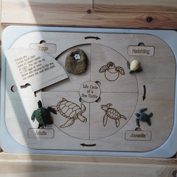 LARGE Interchangeable Life Cycle Board for large TROFAST bin | FLISAT table Insert