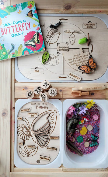 Small Butterfly Anatomy sensory board, Flisat insert