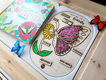 Small Butterfly Anatomy sensory board, Flisat insert