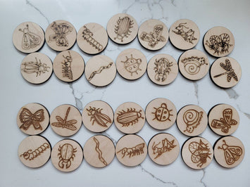 Garden Bugs Jar with wood bugs coins