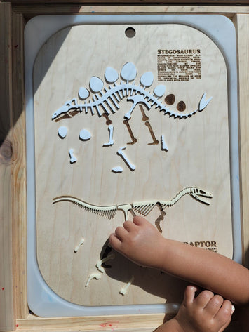 Dinosaur Fossils Flisat / Trofast insert