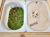 Small or Large Easter Feed the Bunny Activity board with Alphabet Carrots