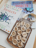 Garden Bugs Jar with wood bugs coins
