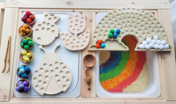 Wooden Shape Sorter, Ladybug Fish, Tulip