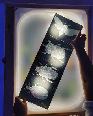 Light Table Acrylic Board