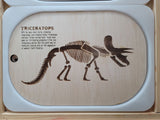 Dinosaur Fossils Flisat / Trofast insert